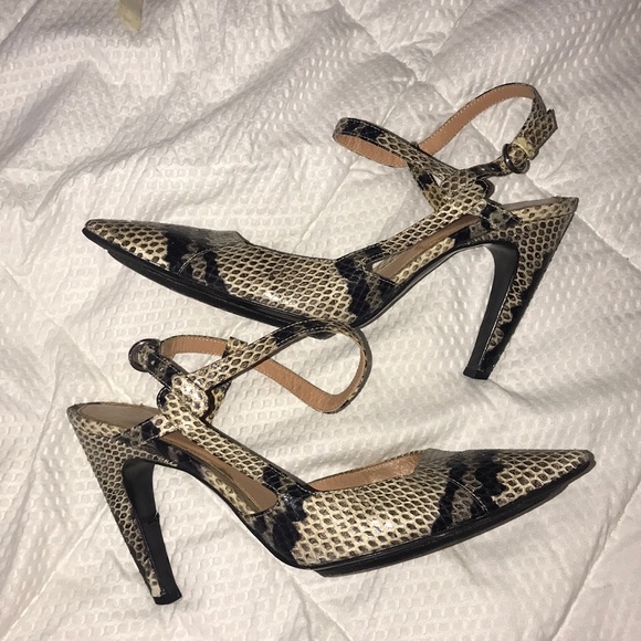 Sergio Rossi Shoes - Sergio Rossi Python Heels